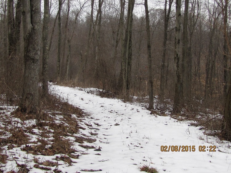 Bailey Road Walhonding, OH 43843 - Photo 2 of 5