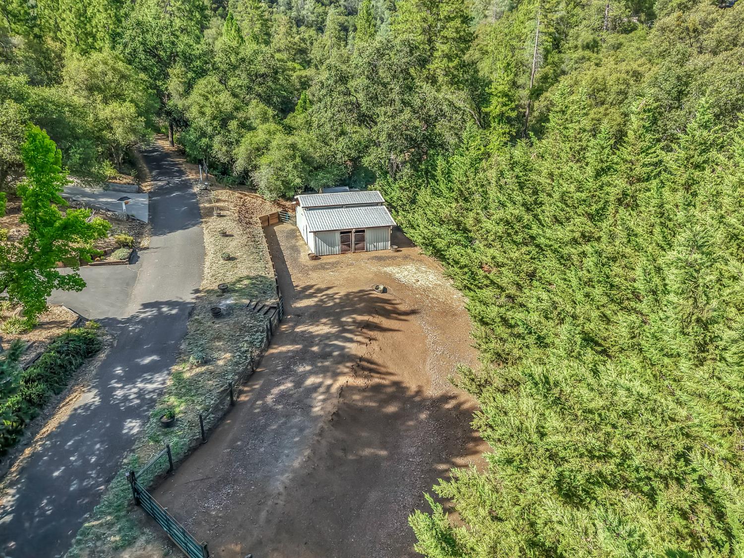 1510 Hanging Tree Road Murphys, CA 95247 - Photo 35 of 88