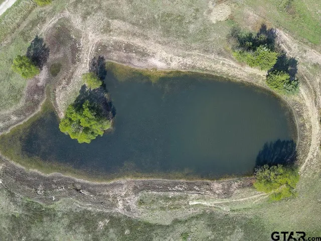 a view of a house with a trees