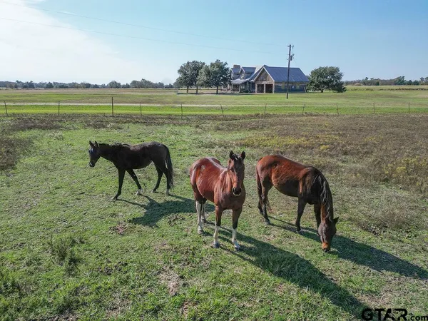 $530,000 | 411 Rs County Road 4525, Point, TX 75472