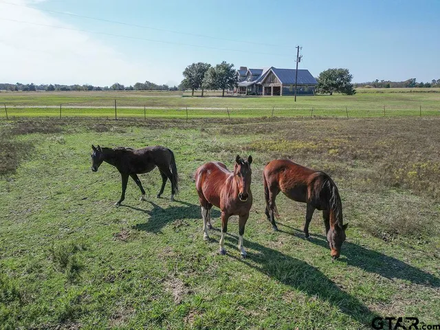 $530,000 | 411 Rs County Road 4525, Point, TX 75472