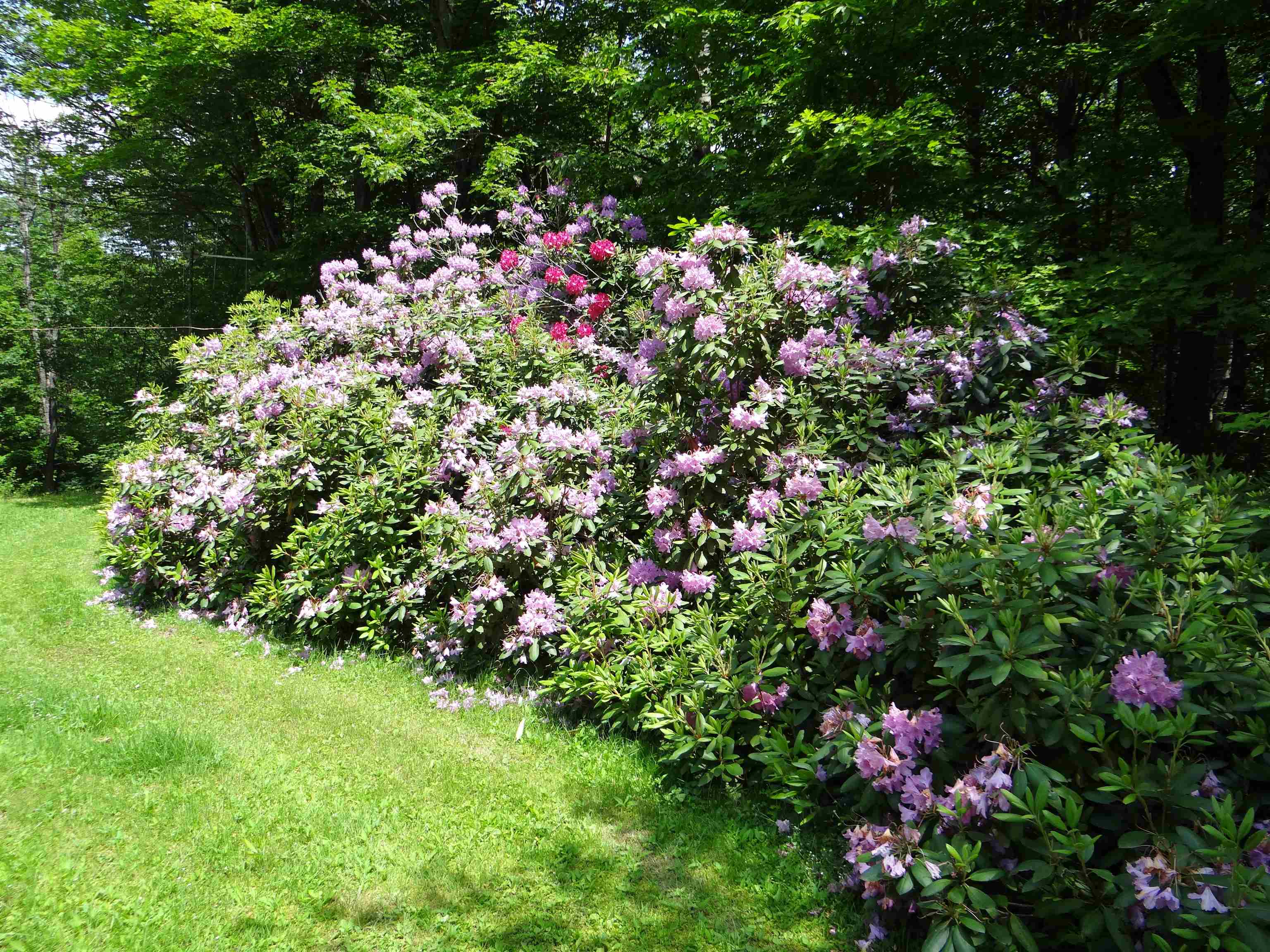 2505 County Road Windsor, VT 05089 - Photo 28 of 30