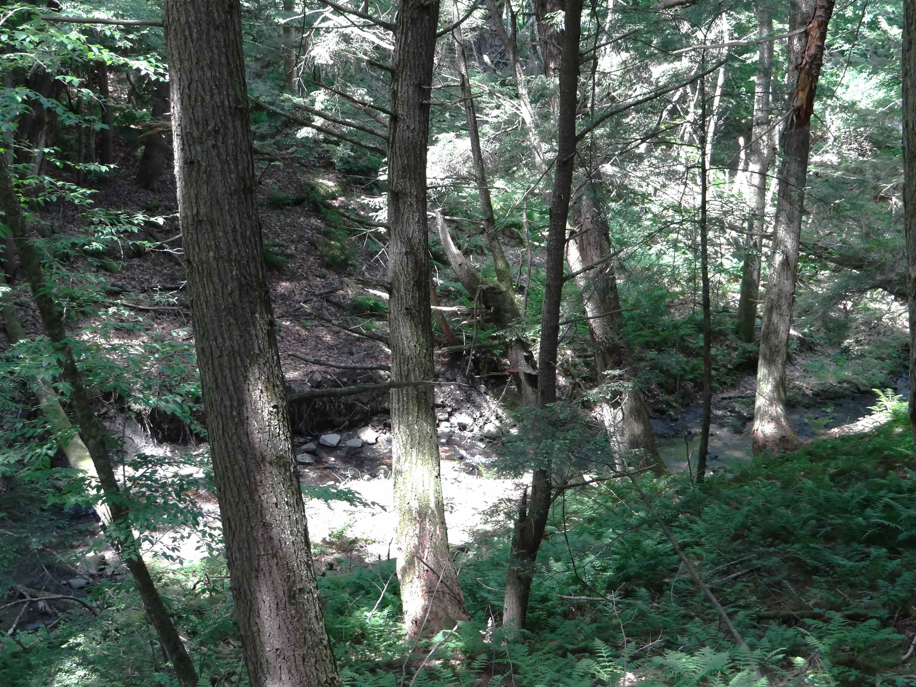 2505 County Road Windsor, VT 05089 - Photo 29 of 30