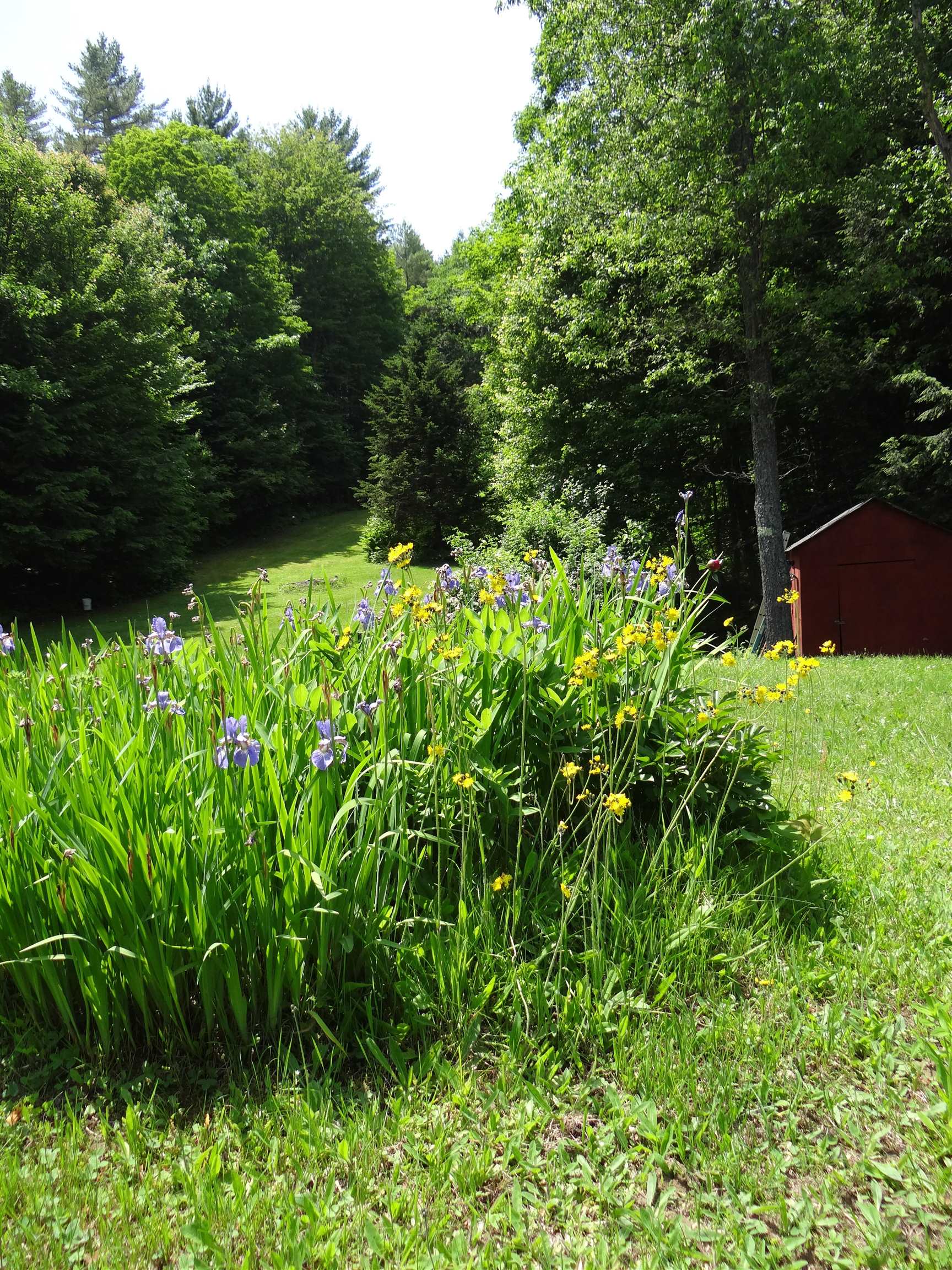 2505 County Road Windsor, VT 05089 - Photo 4 of 30