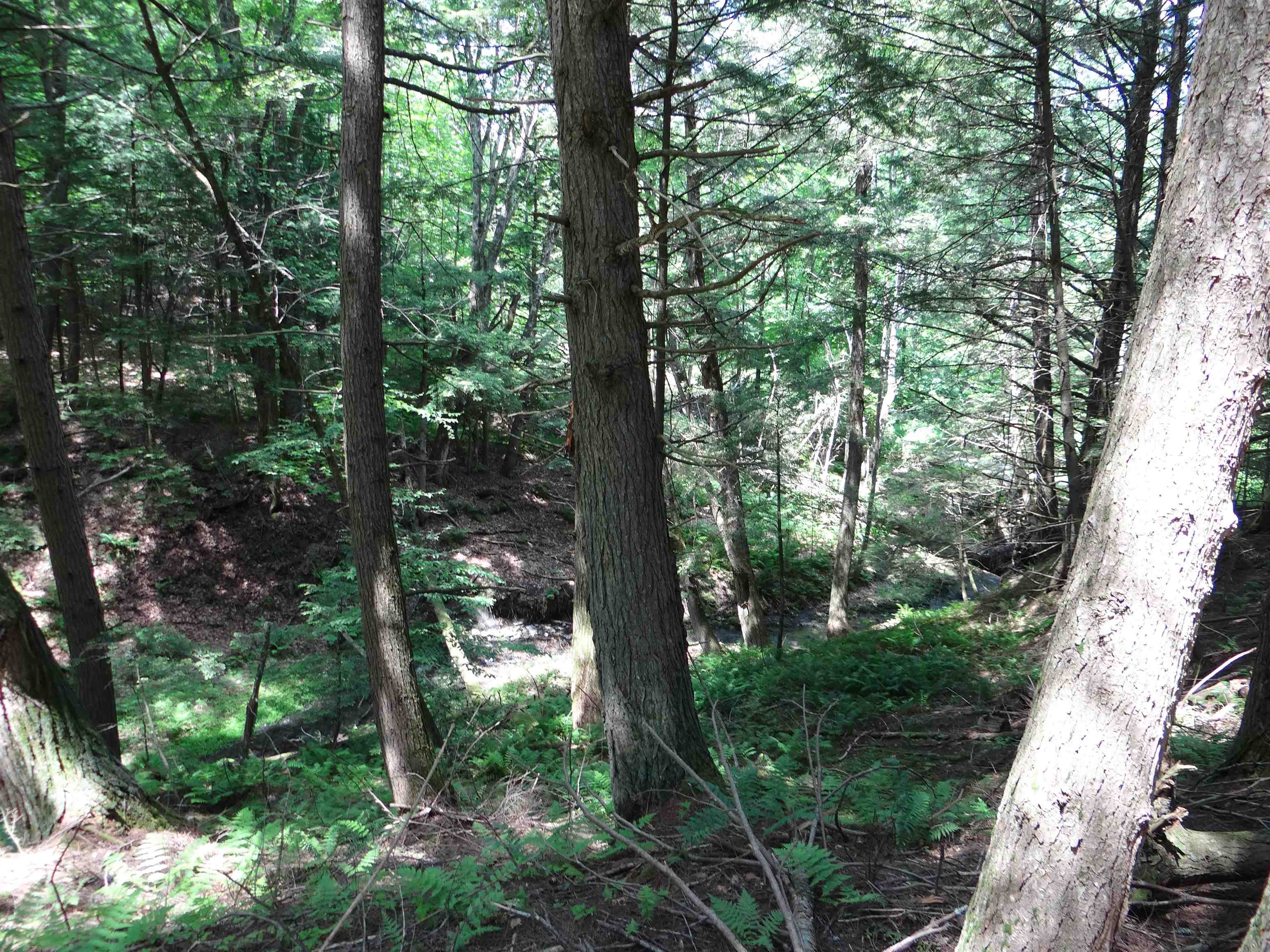 2505 County Road Windsor, VT 05089 - Photo 5 of 30