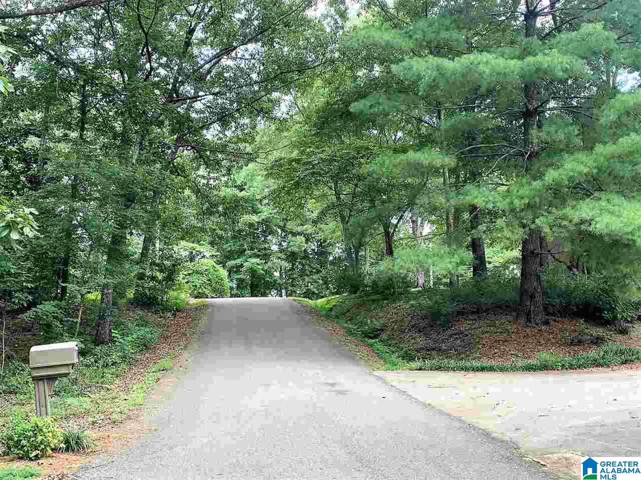 55 Anna Ridge Drive Heflin, AL 36264 - Photo 3 of 43