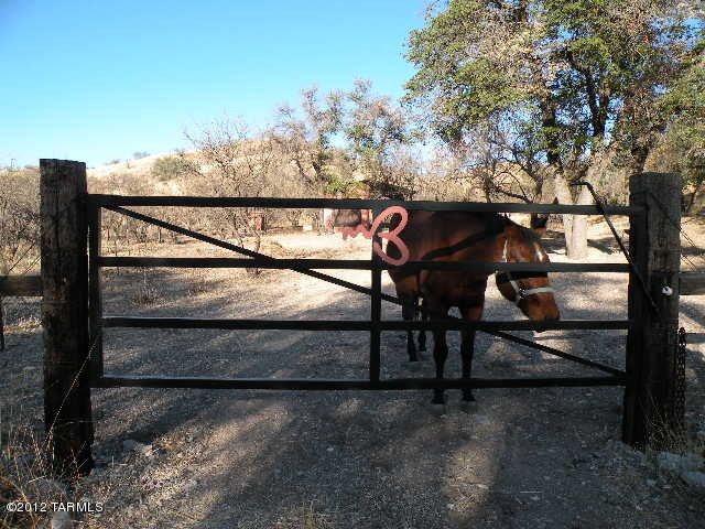 175 Wood Canyon Road Patagonia, AZ 85624 - Photo 30 of 47