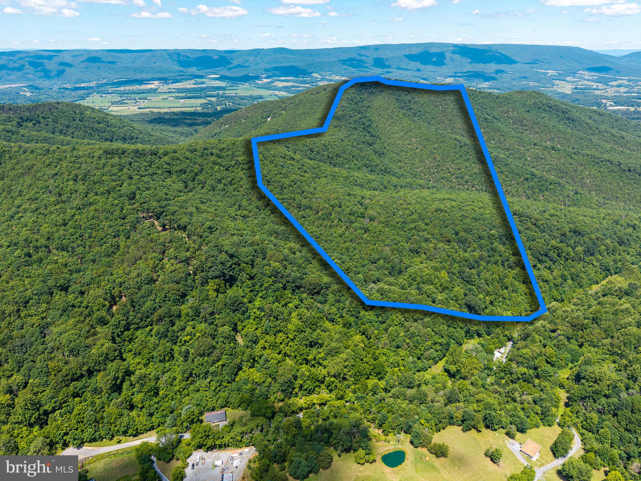 0 Dovel Hollow Road Stanley, VA 22851 - Photo 10 of 22