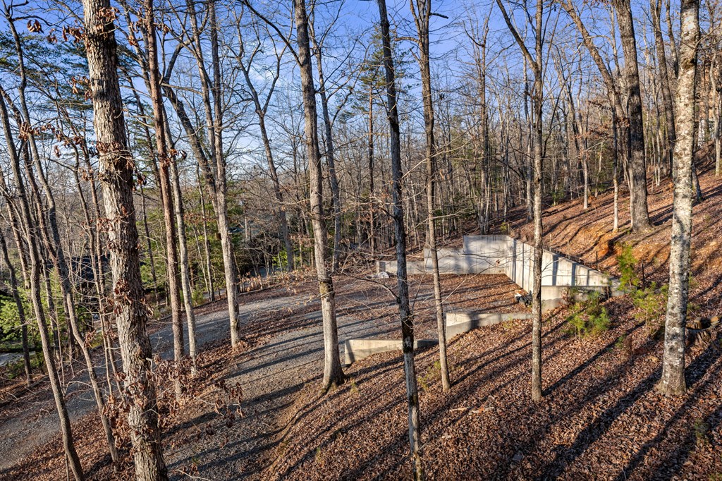 800 Fox Run Drive Blue Ridge, GA 30513 - Photo 61 of 64 Gallery Image 61