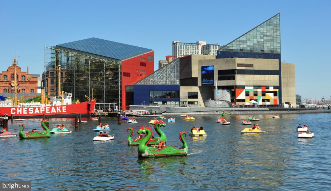 600 South Charles Street, Unit R42 Baltimore, MD 21230 - Photo 12 of 12 Summer Fun at the Inner Harbor in your Backyard!