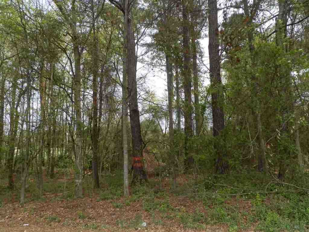 Lot 1 Brown Road Anderson, SC 29621 - Photo 2 of 9