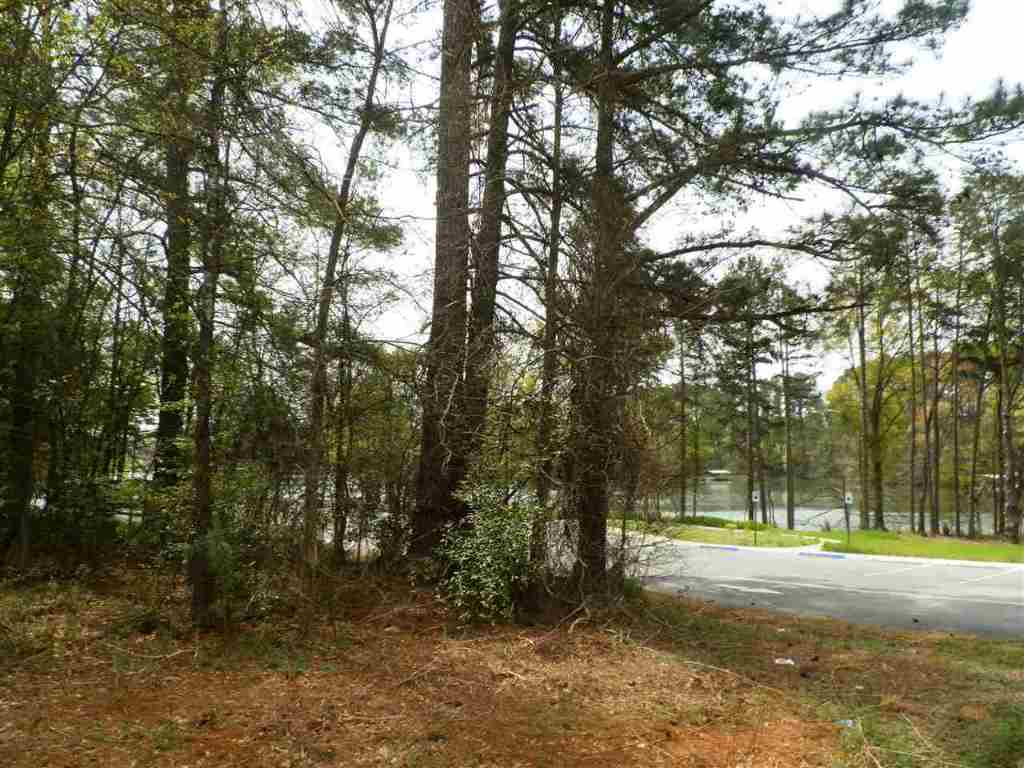 Lot 1 Brown Road Anderson, SC 29621 - Photo 4 of 9