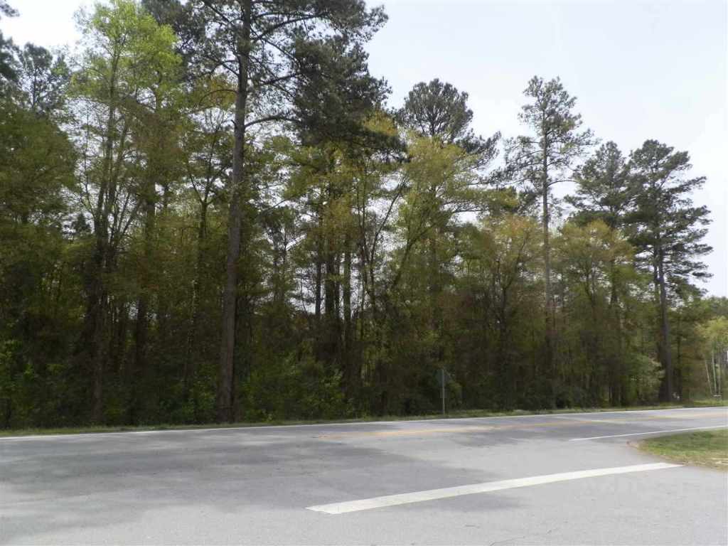 Lot 1 Brown Road Anderson, SC 29621 - Photo 5 of 9