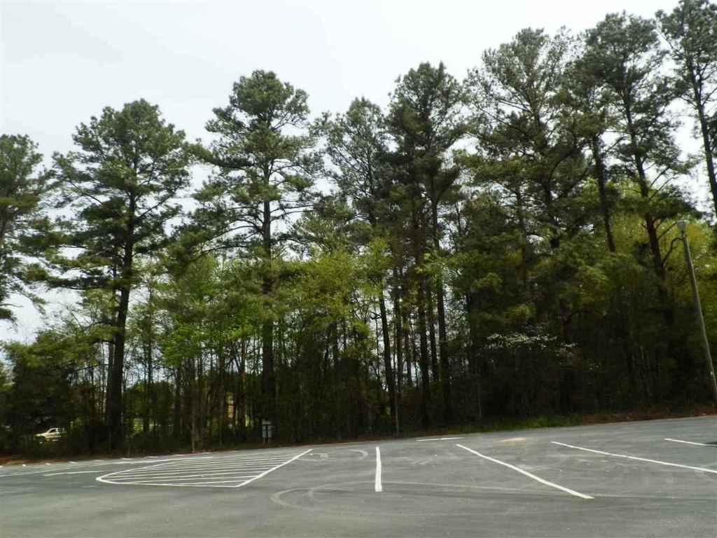 Lot 1 Brown Road Anderson, SC 29621 - Photo 6 of 9