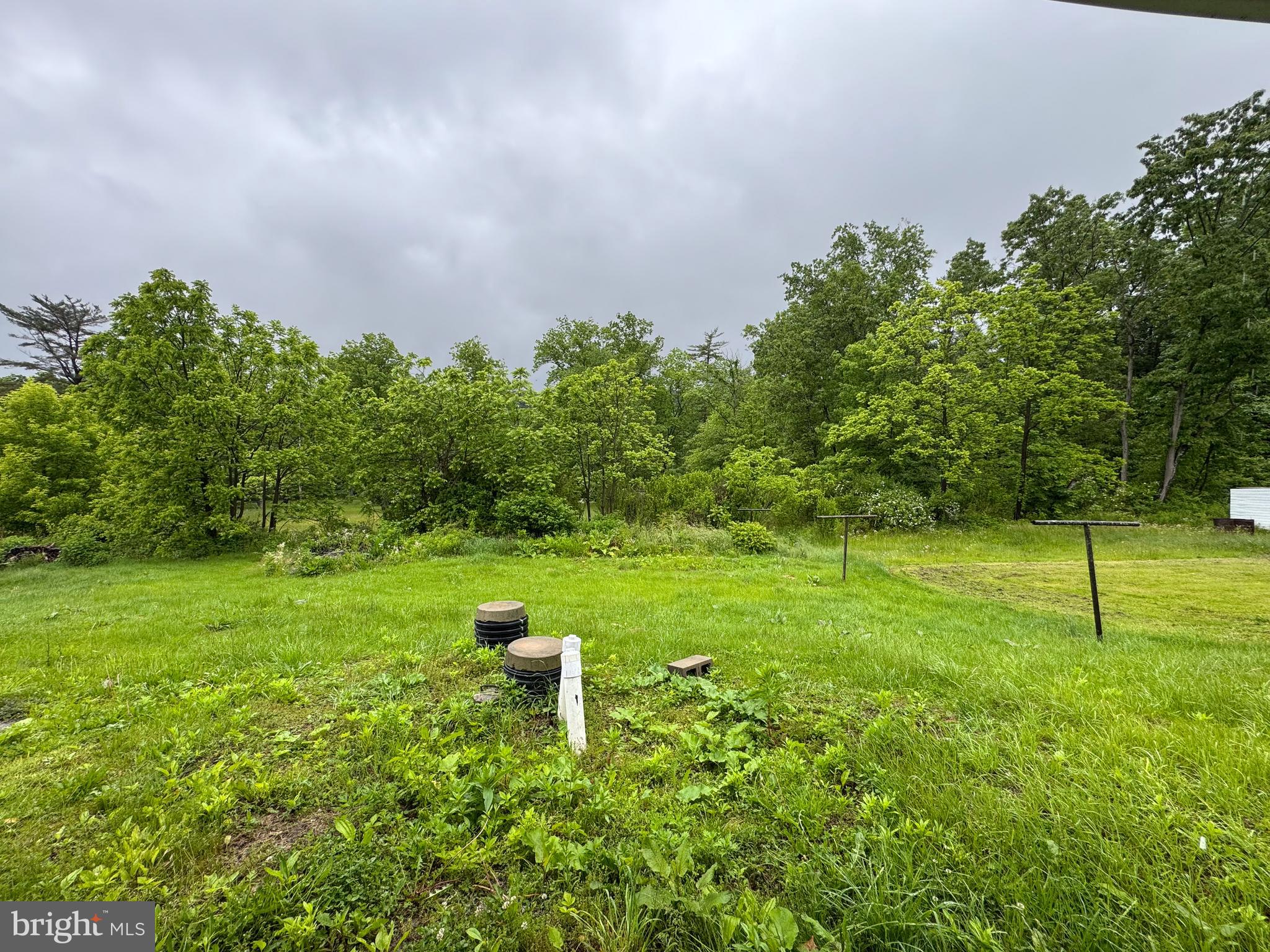 3709 Highway 522 Lewistown, PA 17044 - Photo 28 of 28 a view of a garden with plants