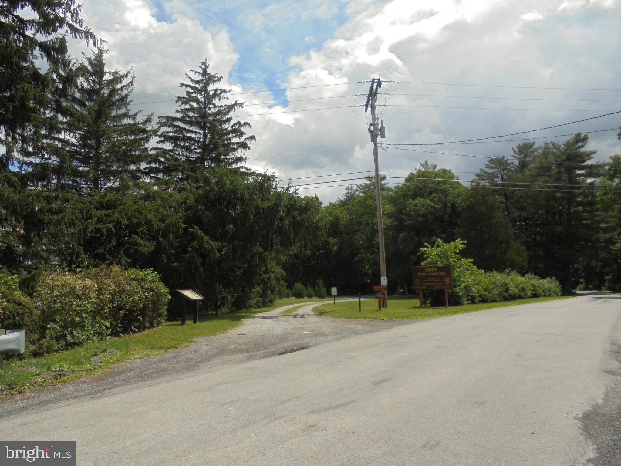 12261 Valley Road Berkeley Springs, WV 25411 - Photo 45 of 56 Street