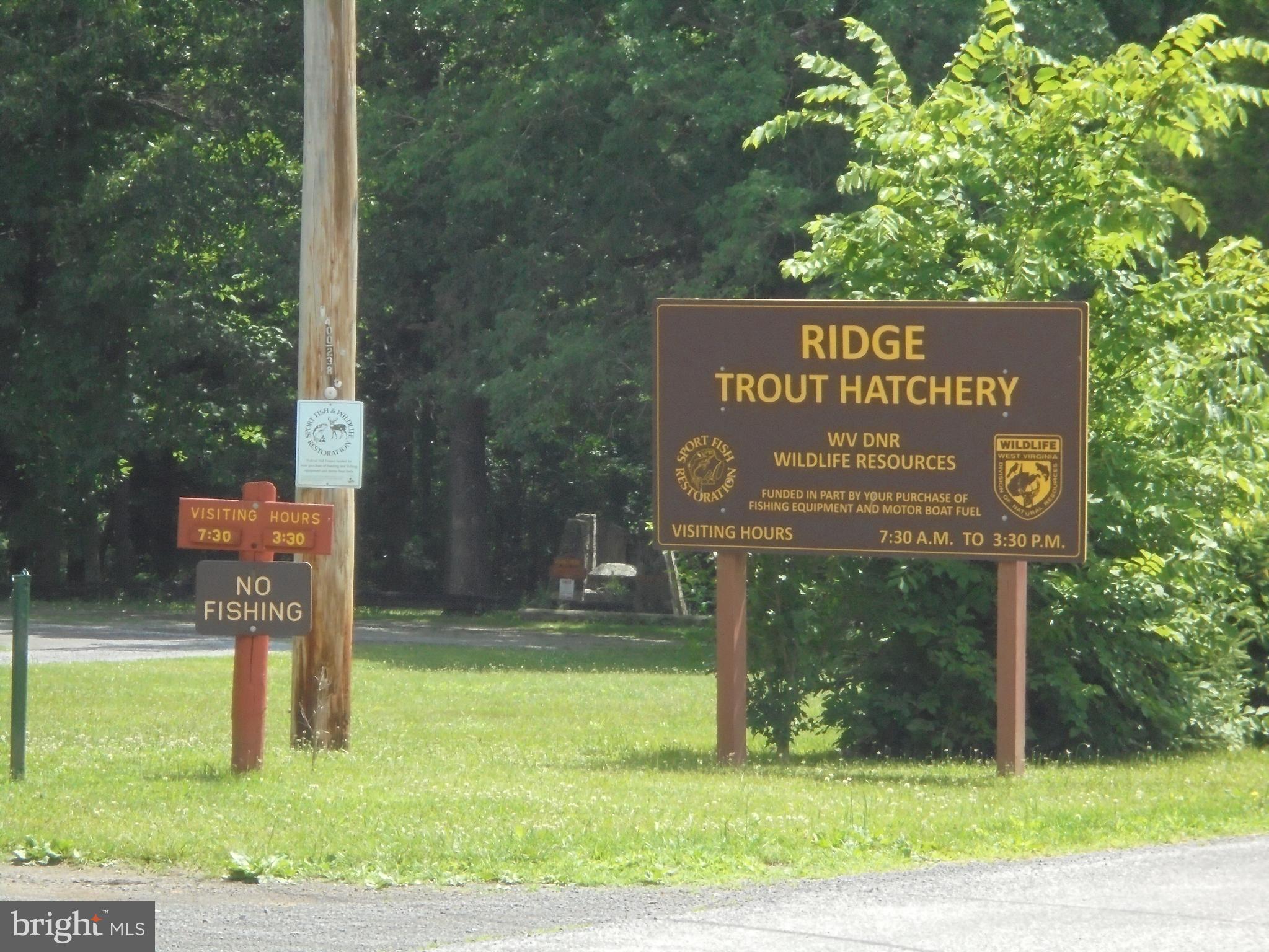 12261 Valley Road Berkeley Springs, WV 25411 - Photo 46 of 56 Ridge Trout Hatchery across the Street