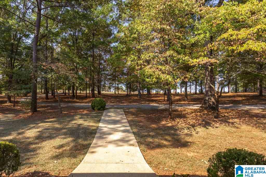 1249 Stockdale Road Munford, AL 36268 - Photo 4 of 50