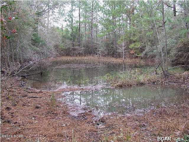 1723 Holmes Road Westville, FL 32464 - Photo 3 of 29 Gallery Image 3
