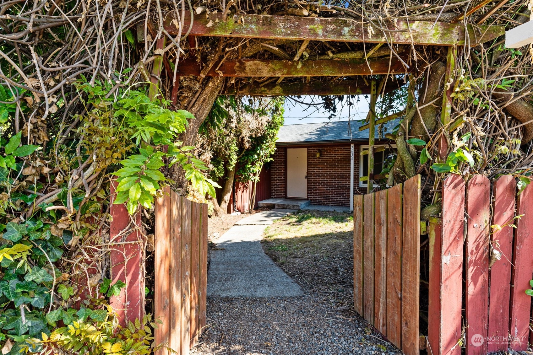 a view of a yard with plants
