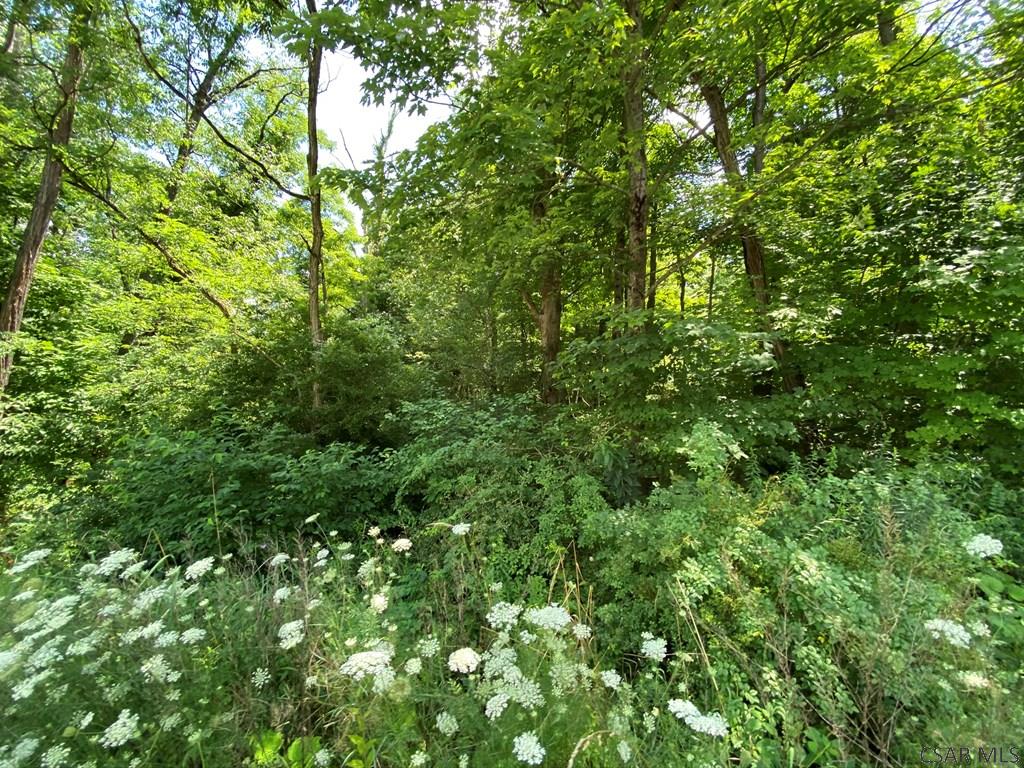 School Street, Unit 2 2 Cairnbrook, PA 15924 - Photo 7 of 11