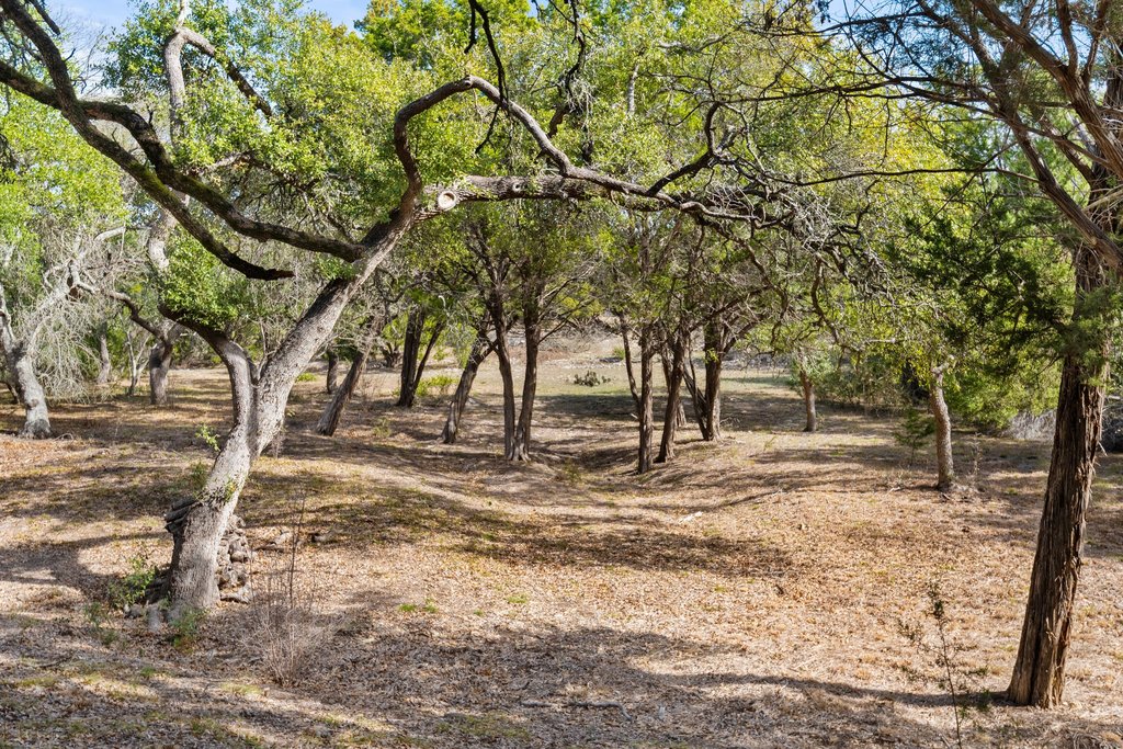 201 Raincloud Road Wimberley, TX 78676 - Photo 34 of 40 View of undeveloped land