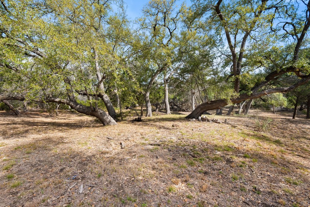 201 Raincloud Road Wimberley, TX 78676 - Photo 35 of 40 View of yard