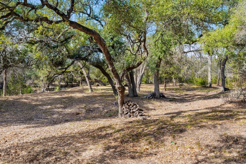201 Raincloud Road Wimberley, TX 78676 - Photo 39 of 40 View of nature