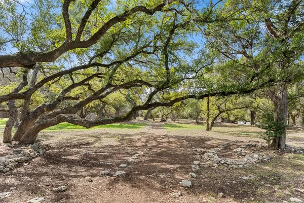 a view of a yard with a tree