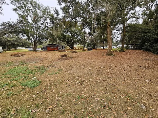 a view of outdoor space with trees
