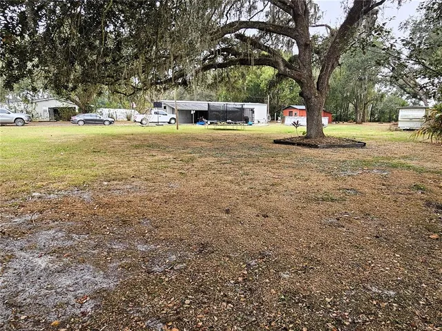 a view of a yard with a tree