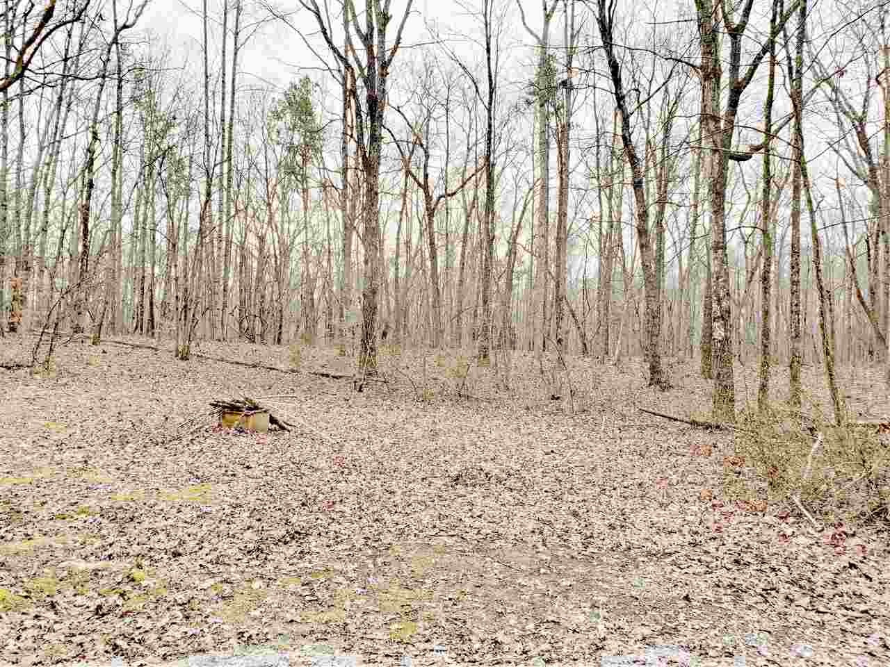 305 Pickle Road Ten Mile, TN 37880 - Photo 47 of 50 Gallery Image 47