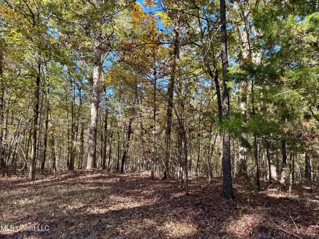 $331,500 | 1218 Ms 9, Calhoun City, MS 38916