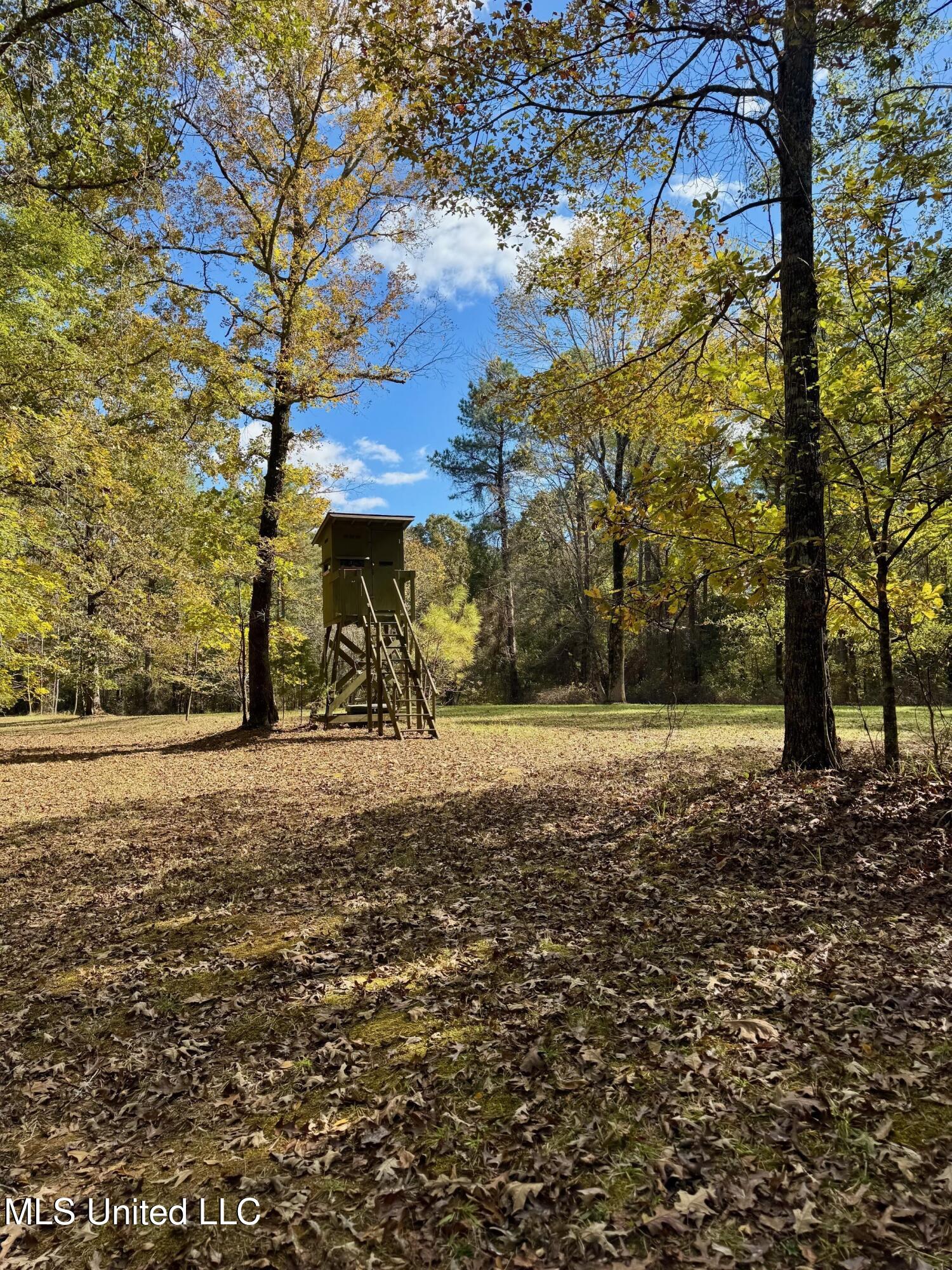 1218 Ms 9 Calhoun City, MS 38916 - Photo 13 of 22 15