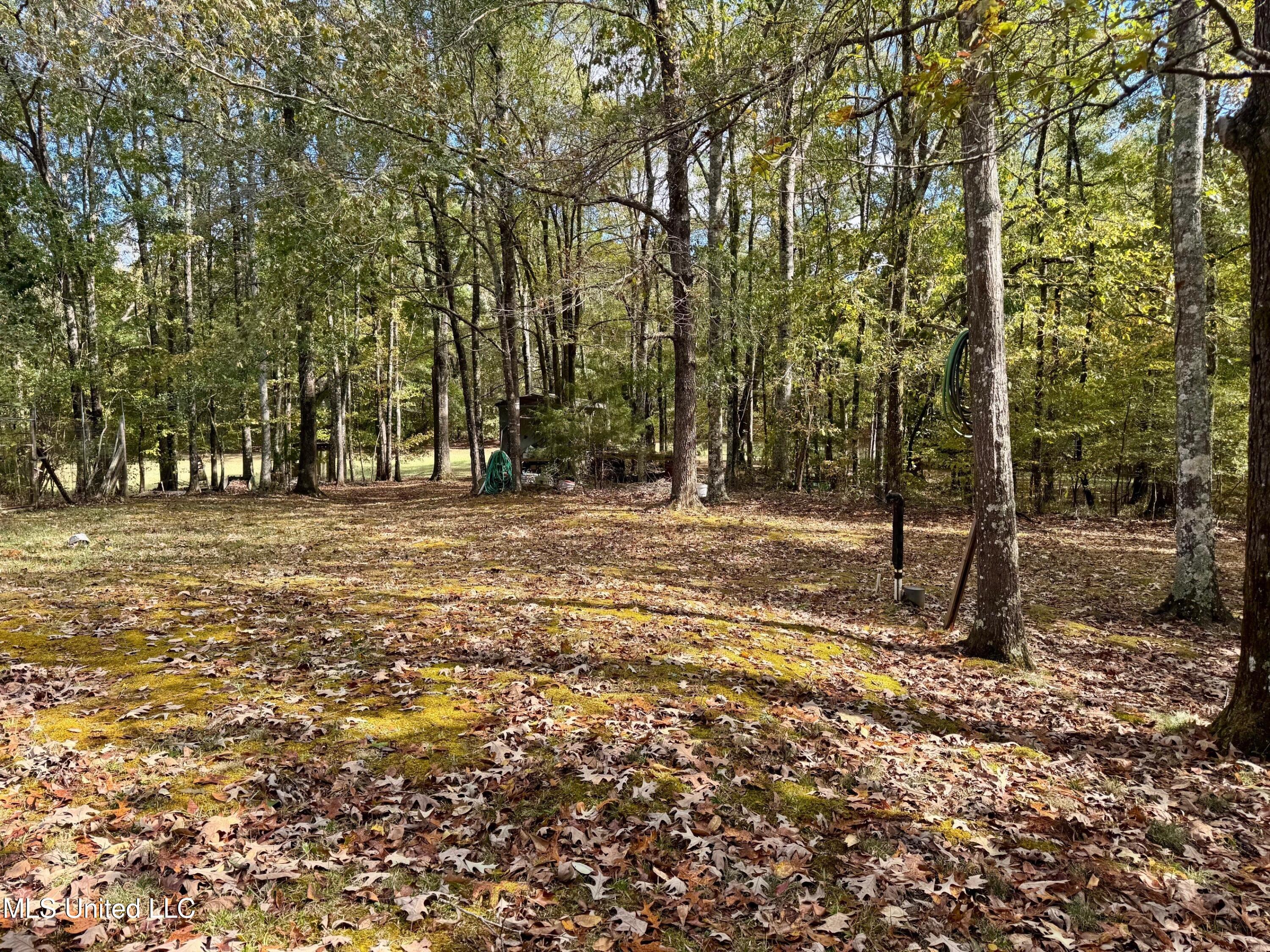 1218 Ms 9 Calhoun City, MS 38916 - Photo 16 of 22 19