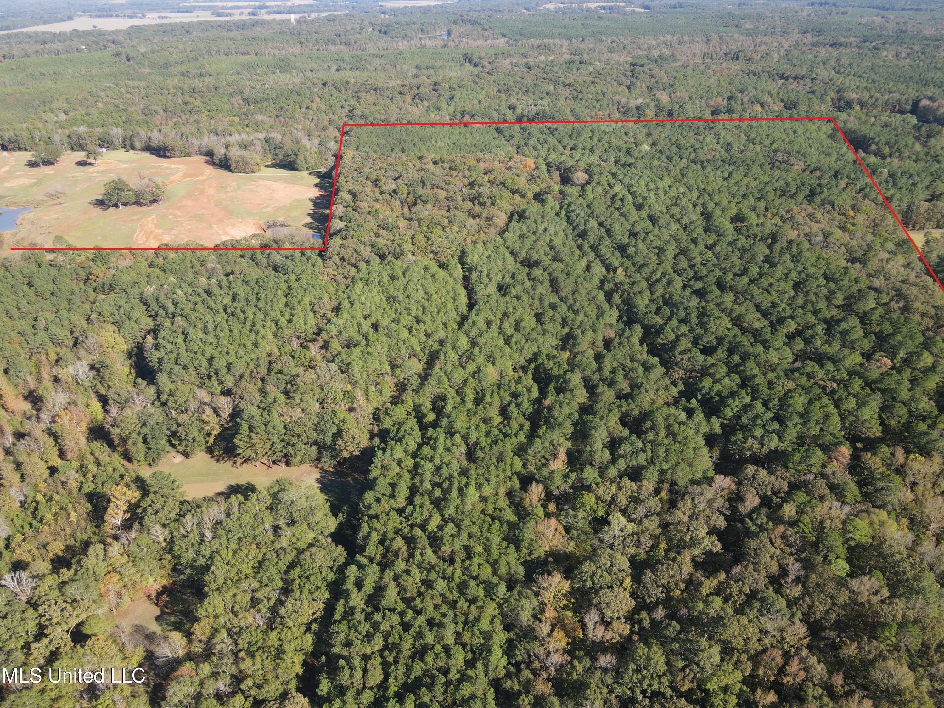 1218 Ms 9 Calhoun City, MS 38916 - Photo 17 of 22 DJI_0377a