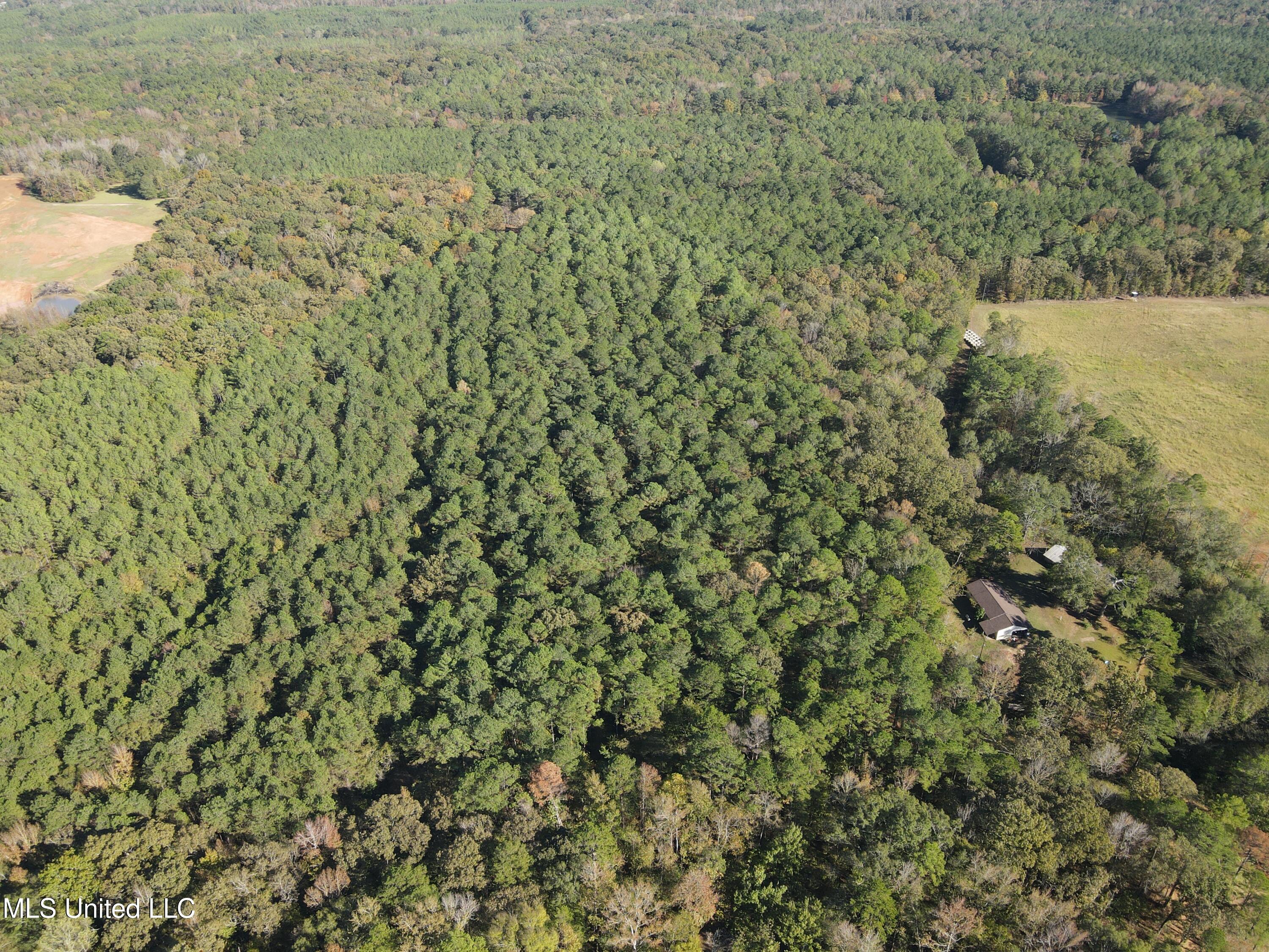 1218 Ms 9 Calhoun City, MS 38916 - Photo 19 of 22 DJI_0379