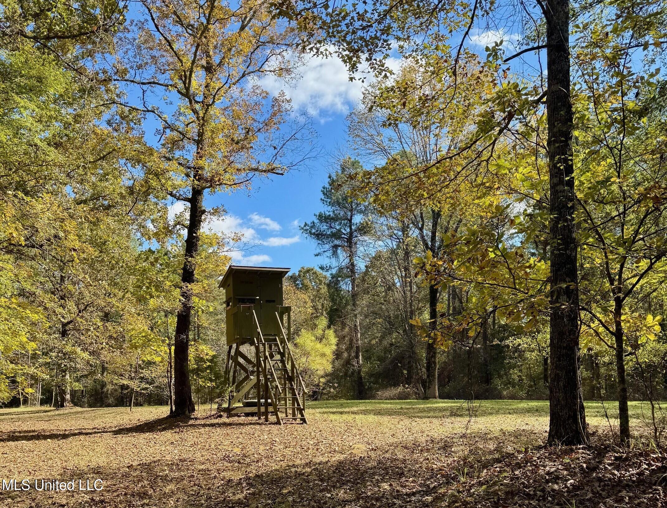 1218 Ms 9 Calhoun City, MS 38916 - Photo 22 of 22 20