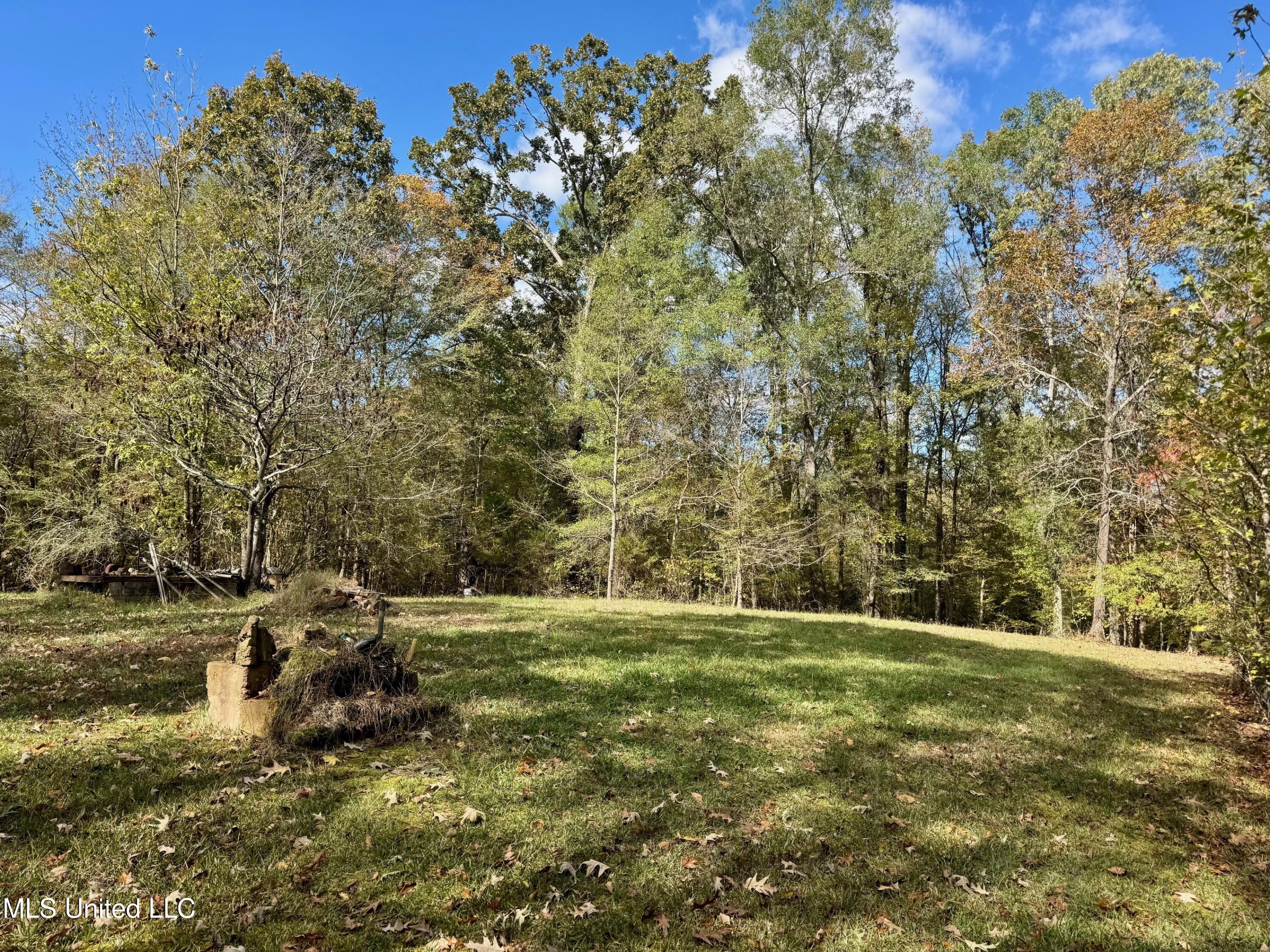 1218 Ms 9 Calhoun City, MS 38916 - Photo 4 of 22 18