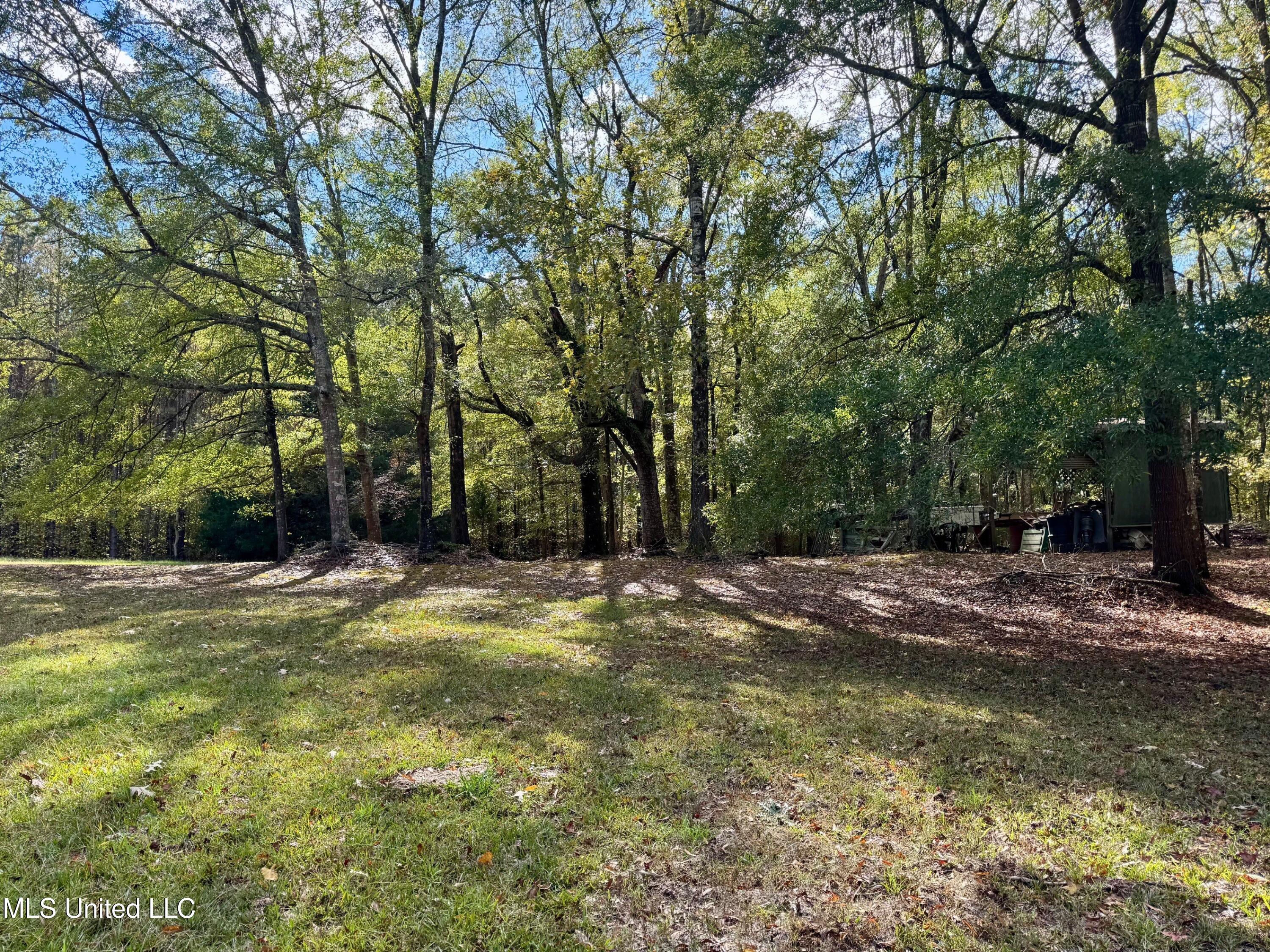 1218 Ms 9 Calhoun City, MS 38916 - Photo 6 of 22 17