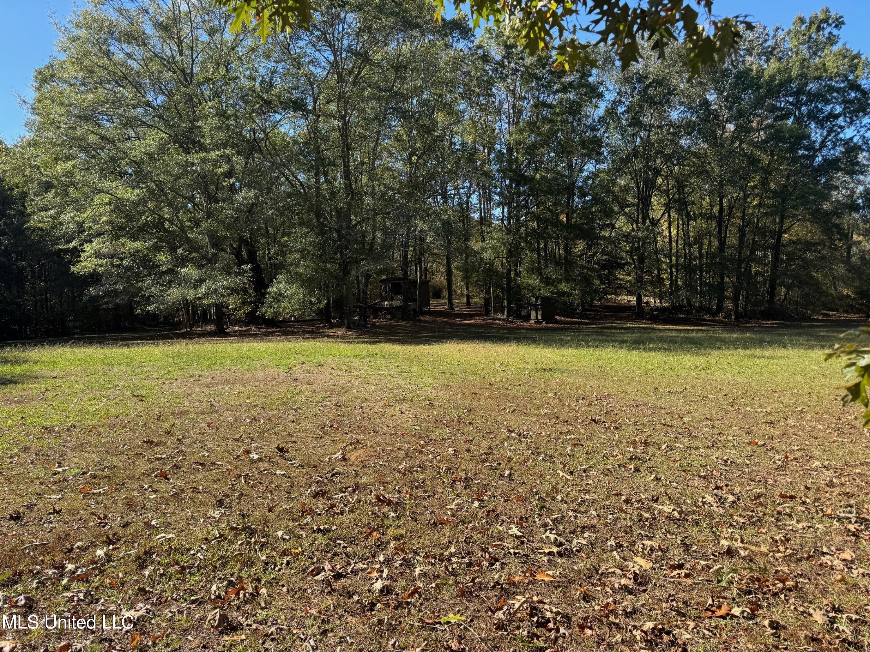 1218 Ms 9 Calhoun City, MS 38916 - Photo 8 of 22 7