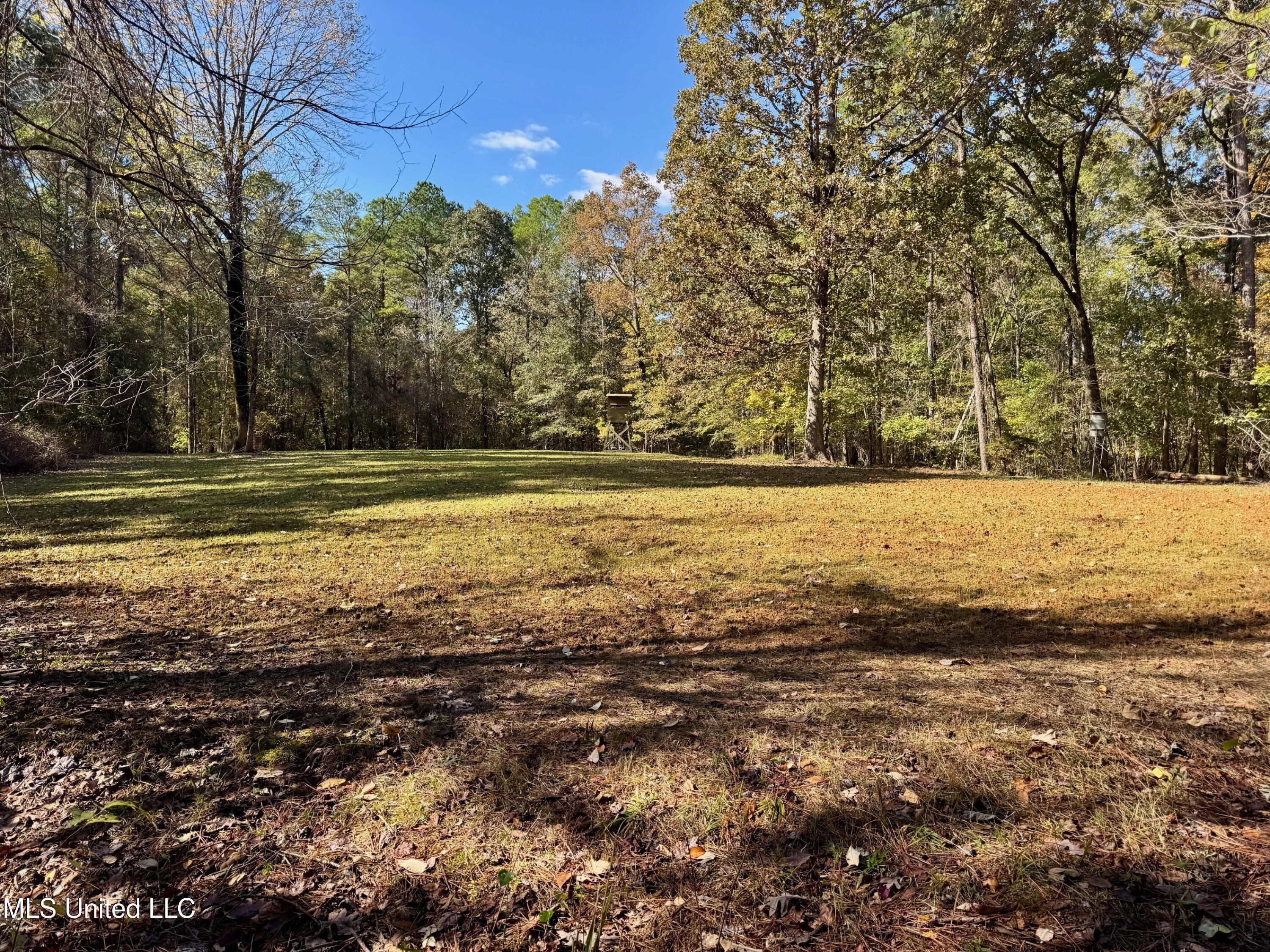 1218 Ms 9 Calhoun City, MS 38916 - Photo 9 of 22 8