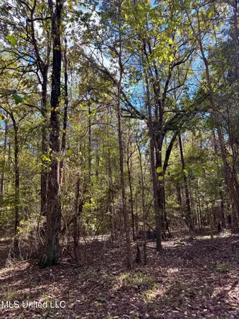 $331,500 | 1218 Ms 9, Calhoun City, MS 38916