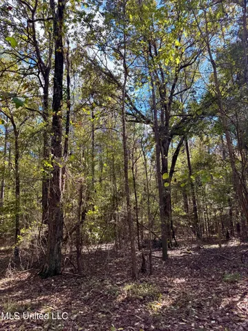 $331,500 | 1218 Ms 9, Calhoun City, MS 38916