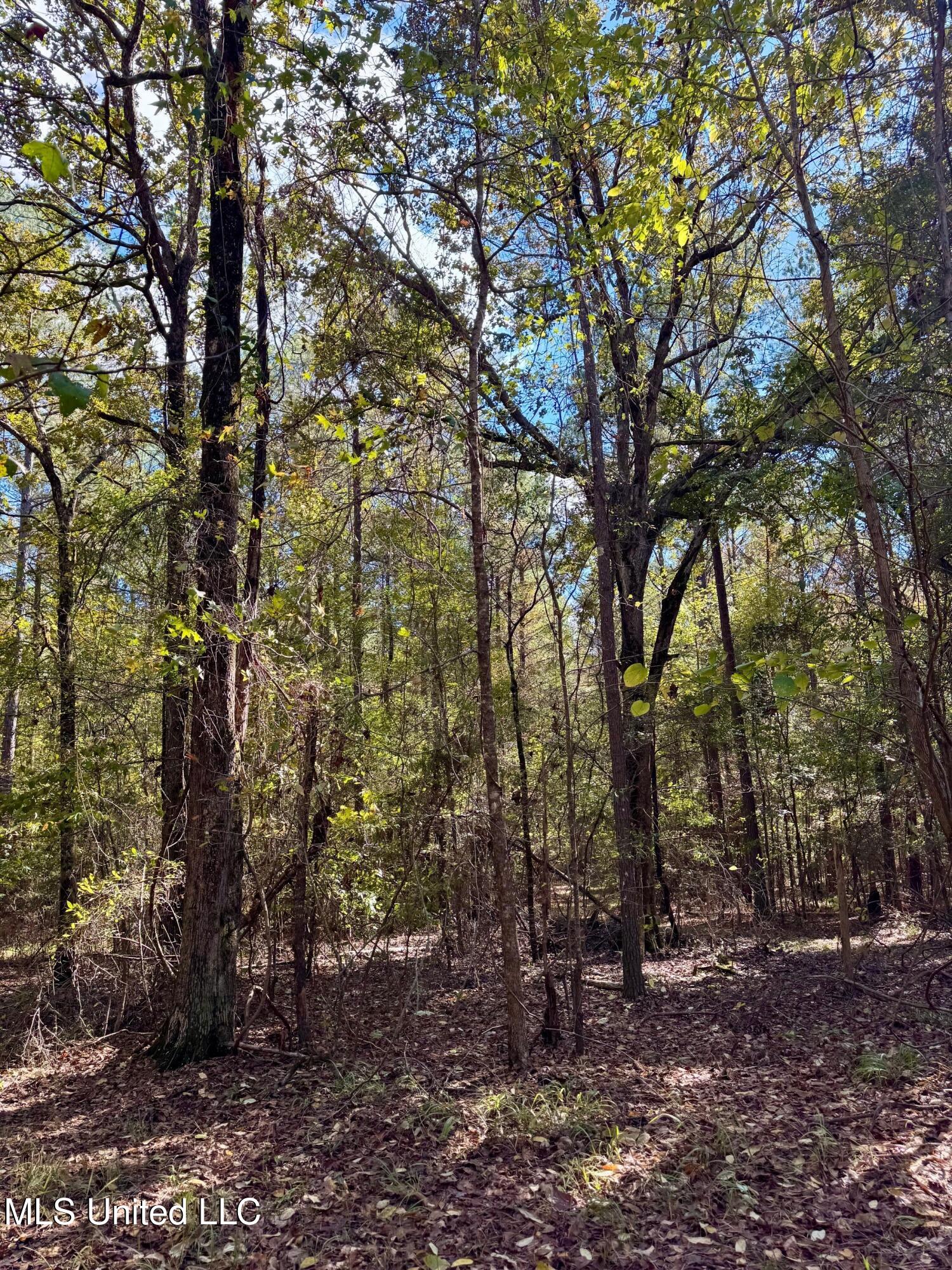 1218 Ms 9 Calhoun City, MS 38916 - Photo 10 of 22 9