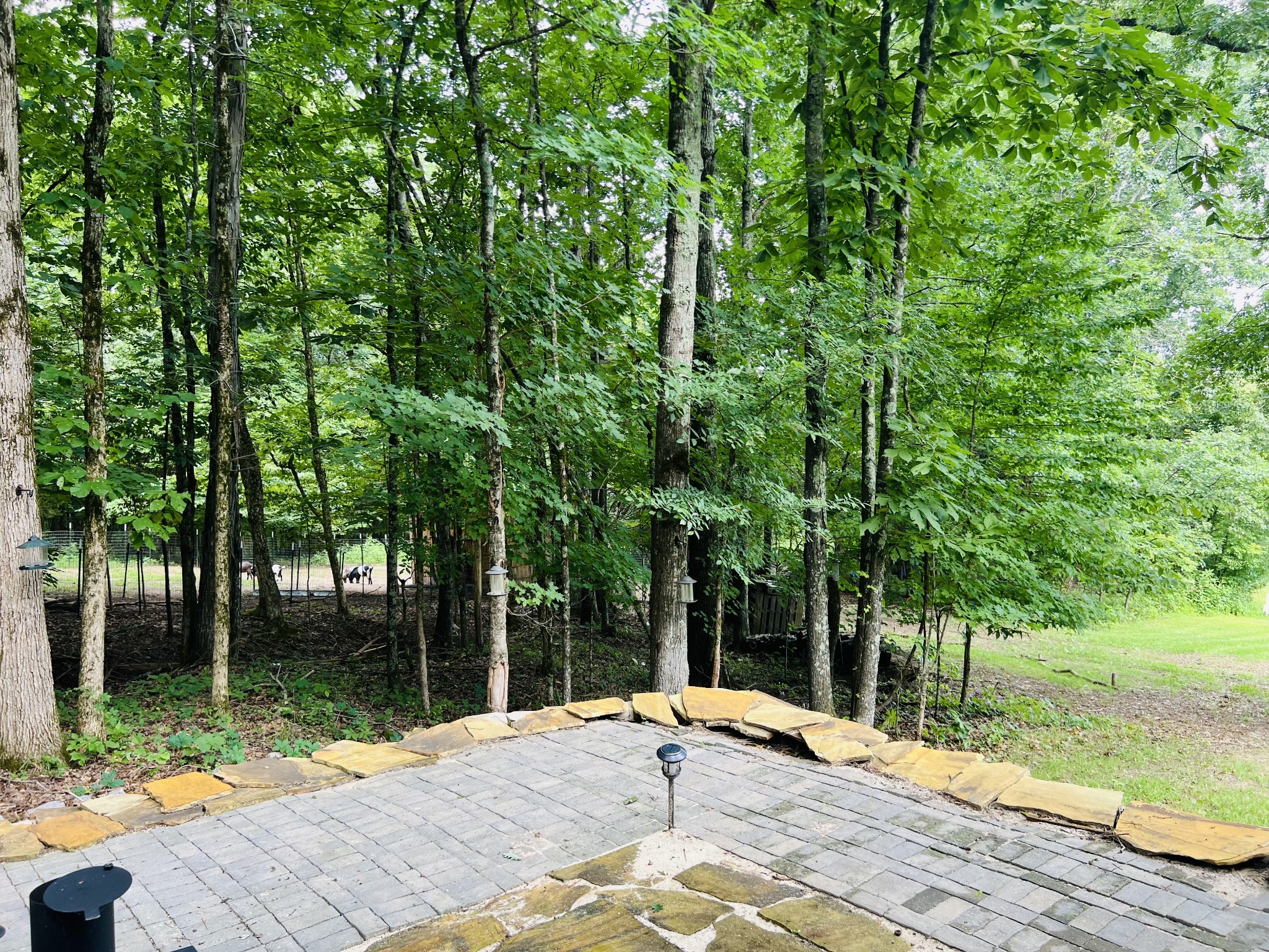 318 Molino Road Fayetteville, TN 37334 - Photo 53 of 66