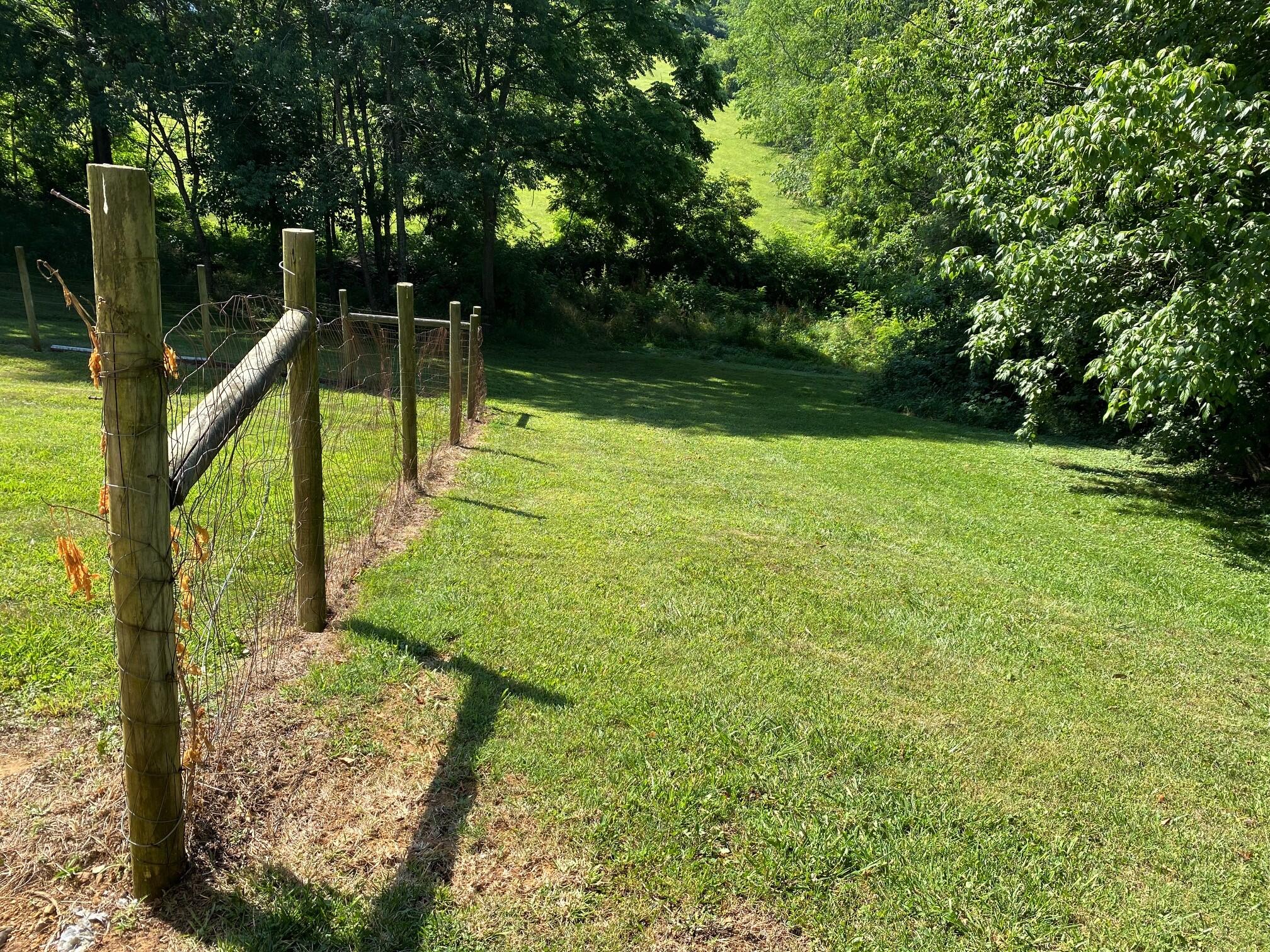 26390 Watauga Road Abingdon, VA 24211 - Photo 31 of 33 SideYard