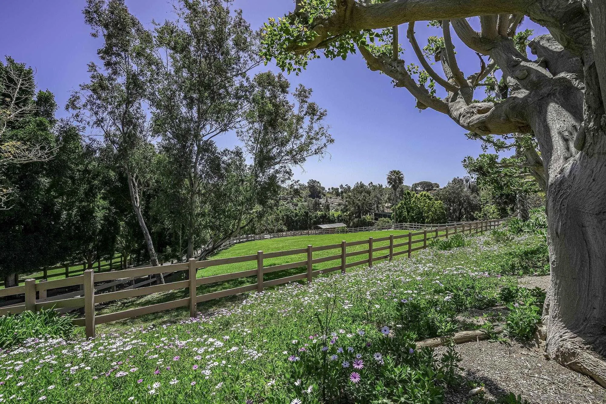 5305 La Crescenta Road Rancho Santa Fe, CA 92067 - Photo 17 of 64 Great glimpse of the upper pasture