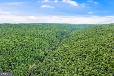 a view of a green field with lots of bushes