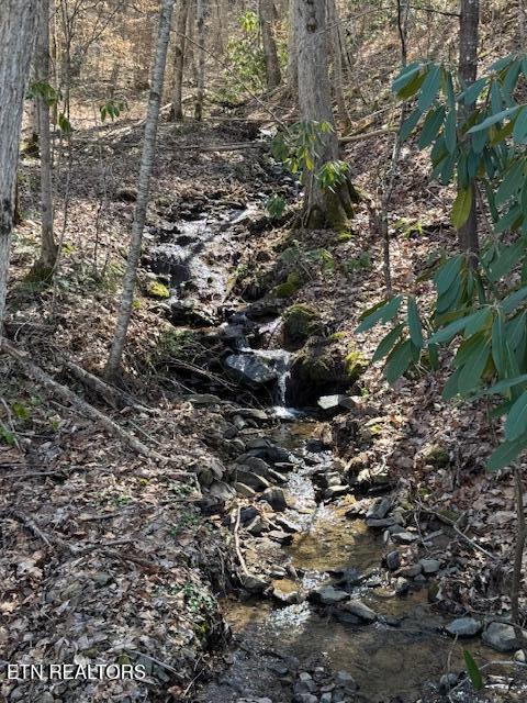 Cougar Trail Del Rio, TN 37727 - Photo 2 of 8 IMG_4073